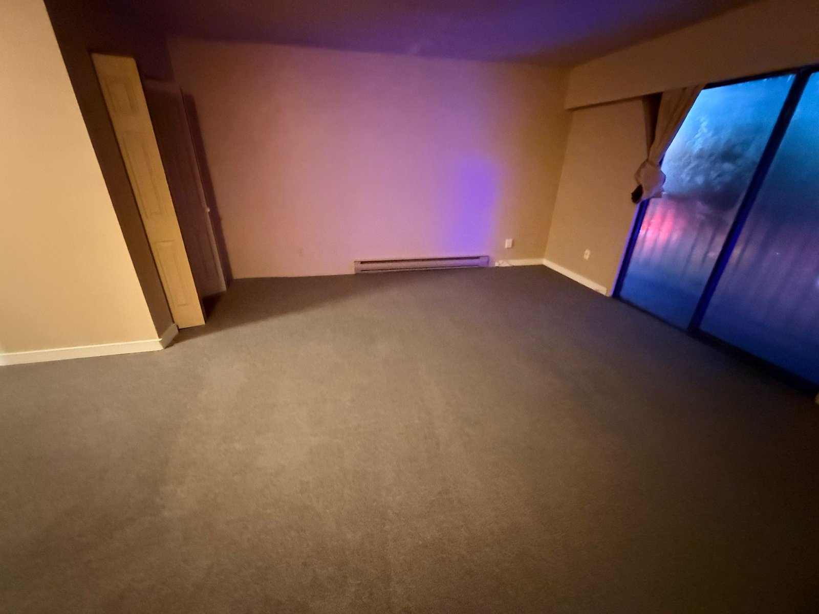 Carpet & interior cleaning