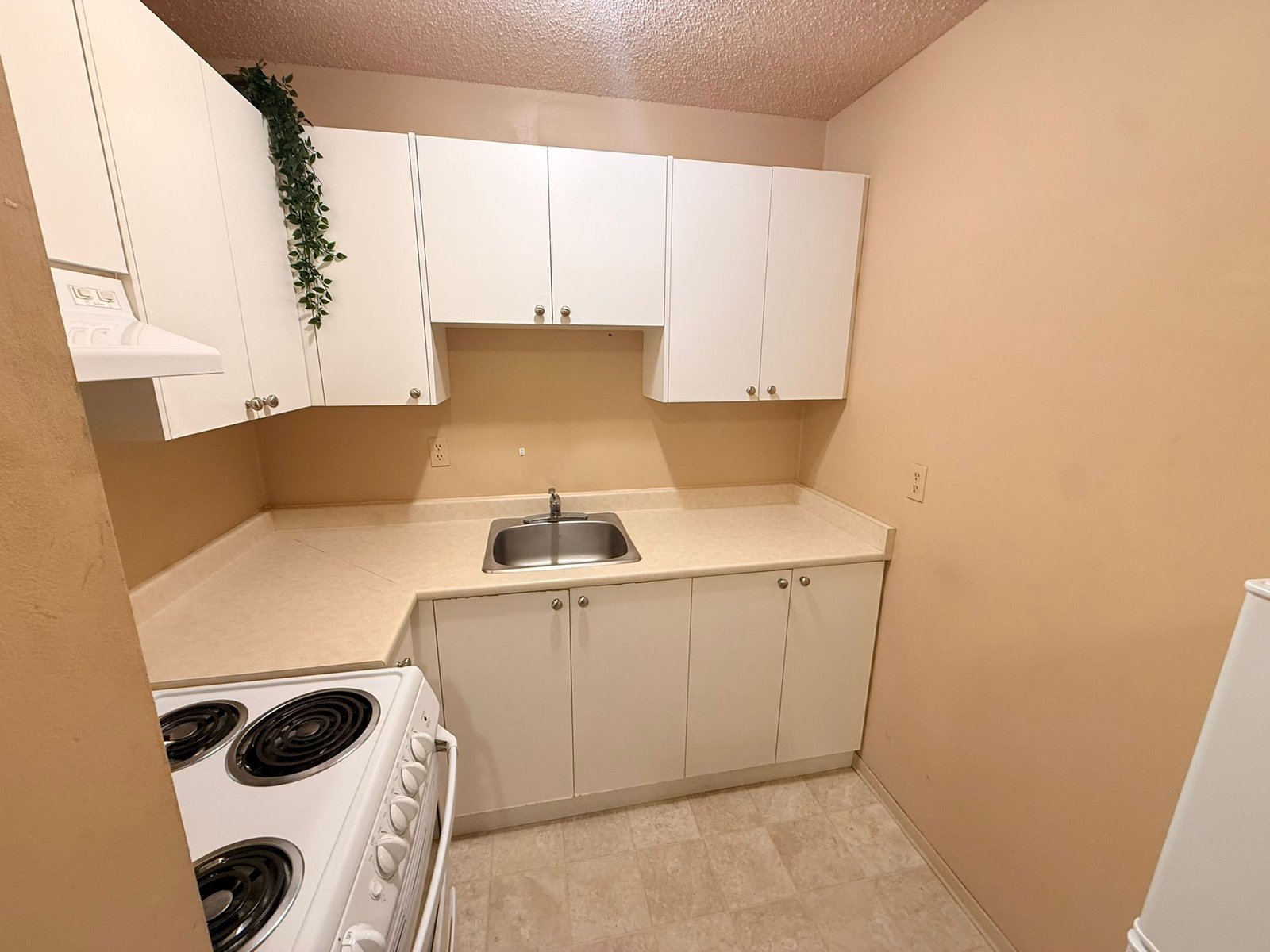 Kitchen turnover cleaning
