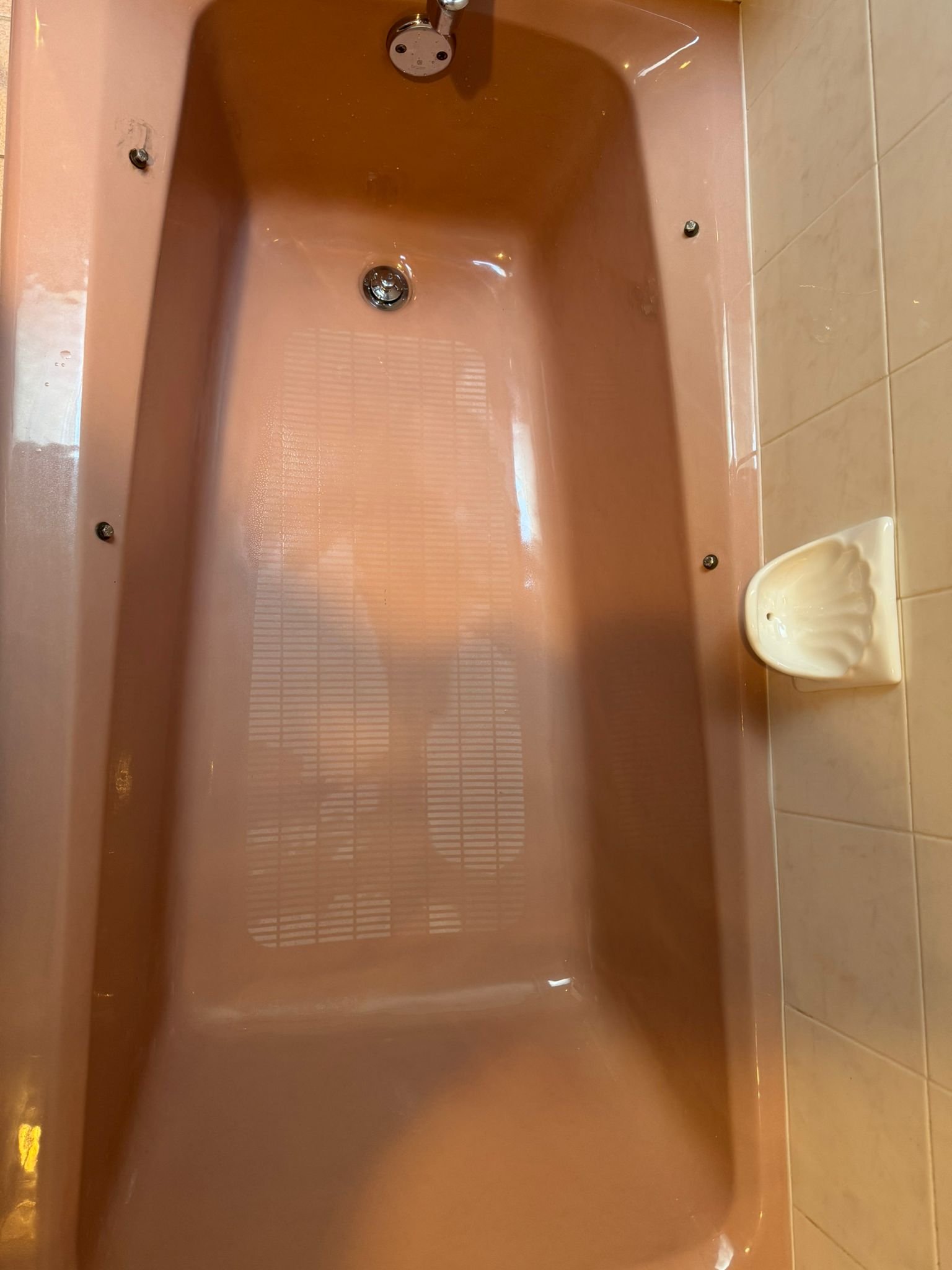 Shower cleaning